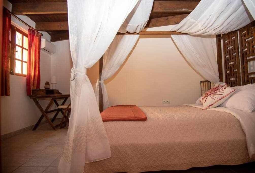 Aurora Mari Your Dream Steps From The Ocean Shore Villa